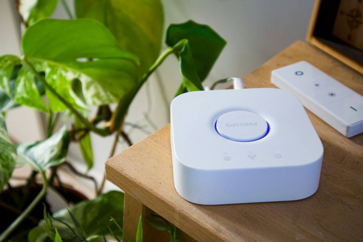 Renewable Energy Integration: Smart Switches Revolutionizing Your Home